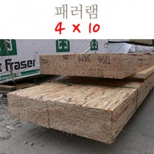 패러램 4